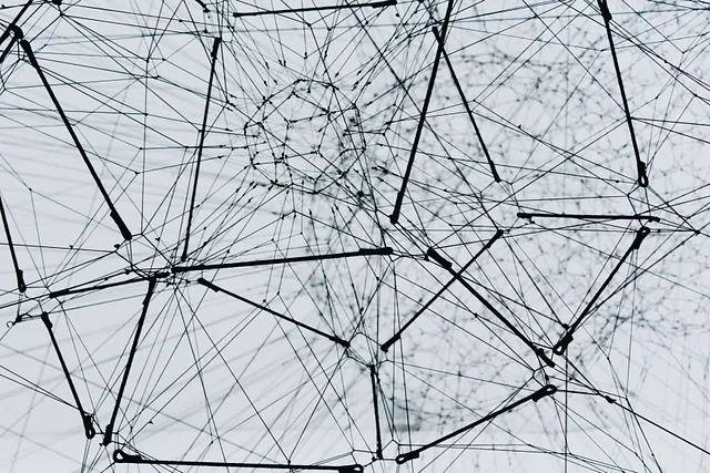 Network Graph